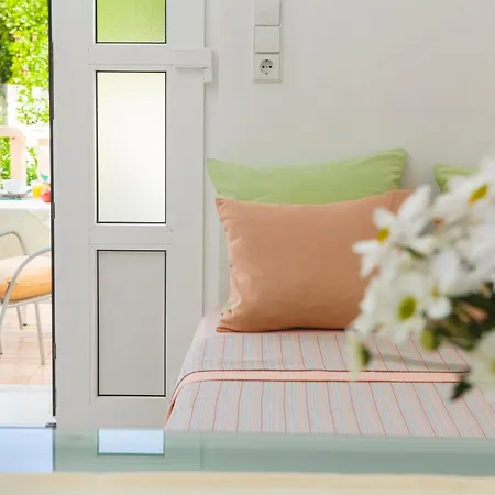 And Mlikota Daire Promajna