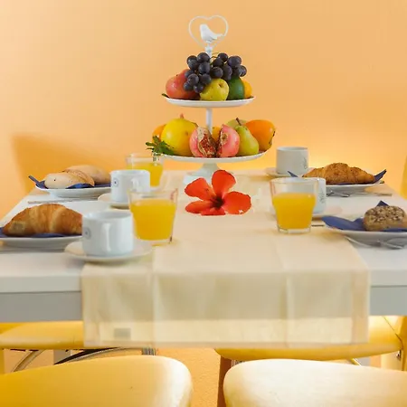 And Mlikota Daire Promajna