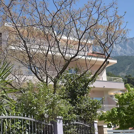 And Mlikota * Promajna